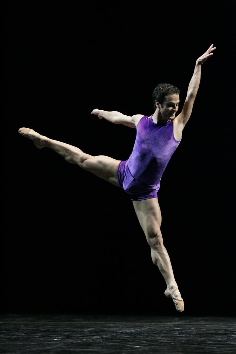 Aerial Acrobats